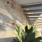 Vog Villa